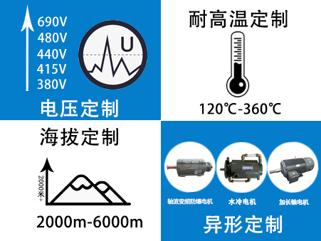 山东电机厂家定制电机